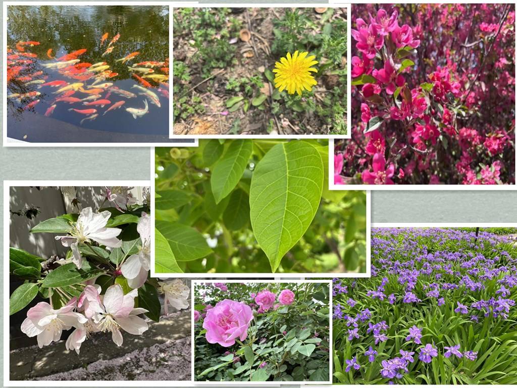 garden factory garden factory