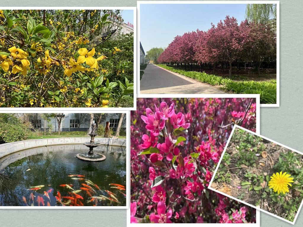 fabrica de jardineria garden factory