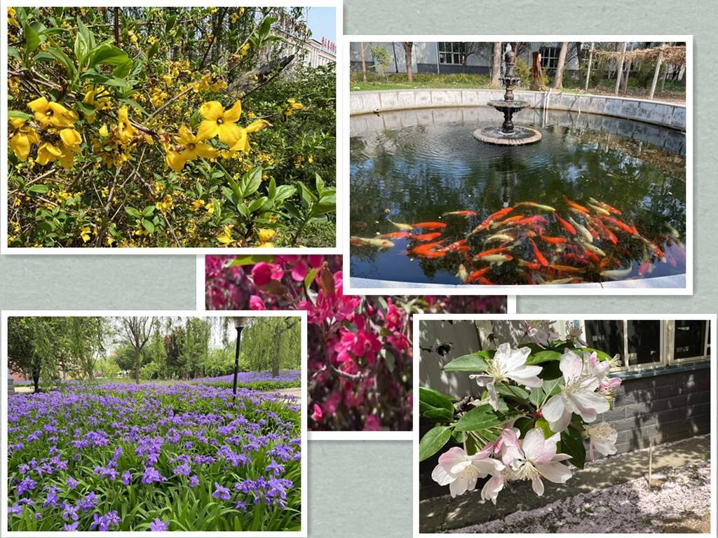 fabrica de jardineria garden factory